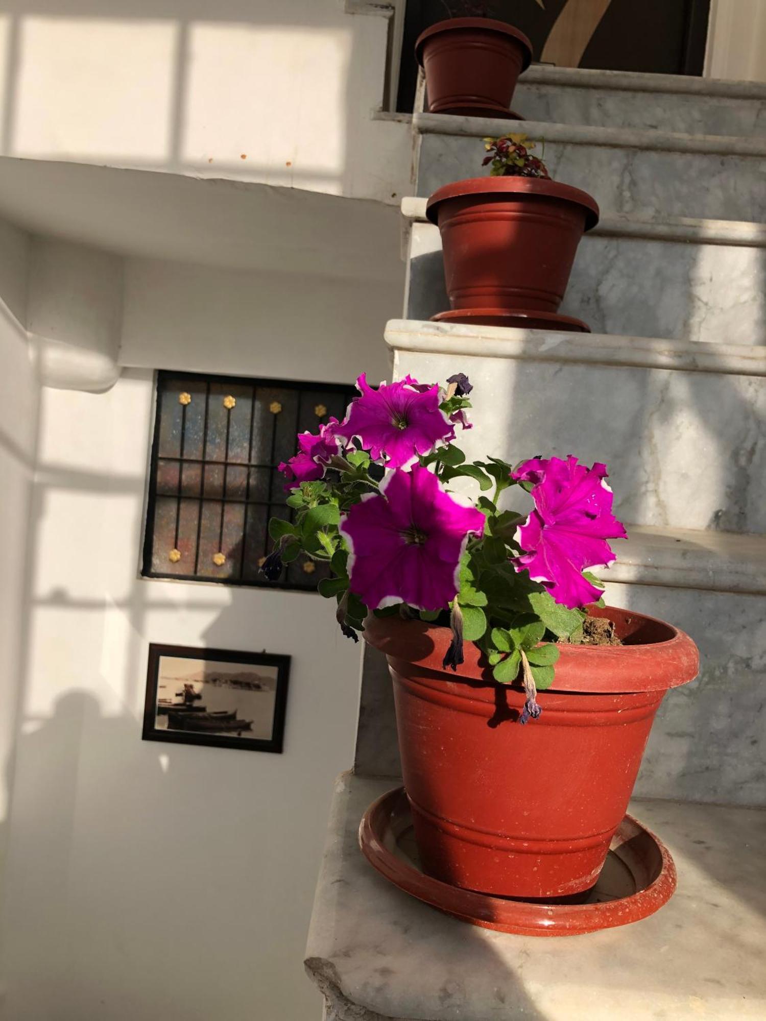 Hotel Nirvana Lakeside Udaipur Eksteriør billede